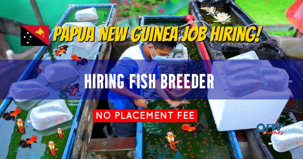 Hiring Fish Breeder for SF OFW Buddy