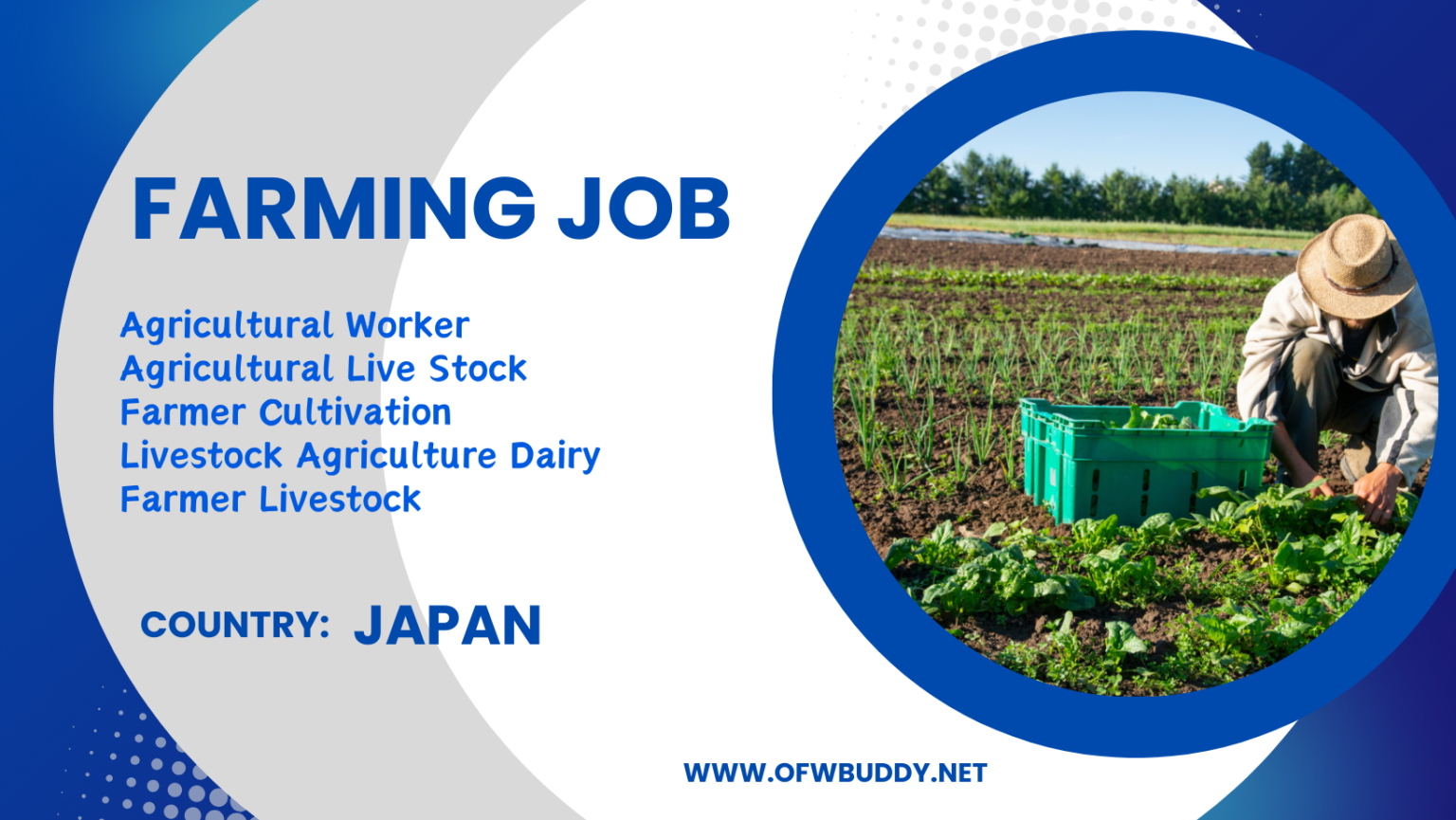 Hiring Farm Workers under Studio 85 Promotions Inc. - OFW Buddy