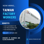 Hiring Factory Workers for Xintec Inc.