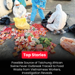 Possible Source of Taichung African Swine Fever Outbreak Traced to Food Waste from Vietnamese Workers, Investigation Reveals