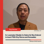 Elizaldy Co Claims Marcos and Romualdez Ordered P100-B Budget Insertions