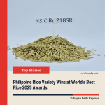 Philippine Rice Variety Wins at World’s Best Rice 2025 Awards