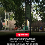 Kaohsiung Park Outrage: “Grandpa and Grandma” Spotted in Sexual Act on Slide