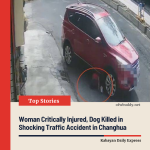 Woman Critically Injured, Dog Killed in Shocking Traffic Accident in Changhua